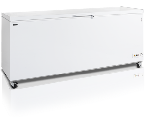 Ларь морозильный Tefcold CF700 SL